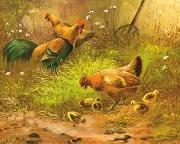 unknow artist Cocks 100 oil painting picture wholesale